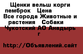 Щенки вельш корги пемброк › Цена ­ 70 000 - Все города Животные и растения » Собаки   . Чукотский АО,Анадырь г.